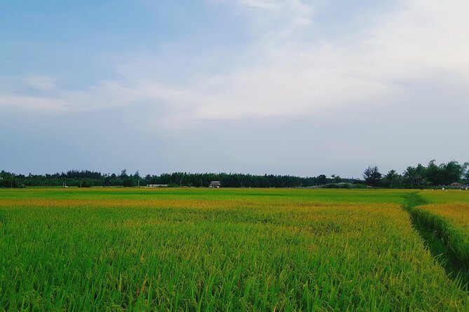 Basket boat, sightseeing, bamboo class - FAQ