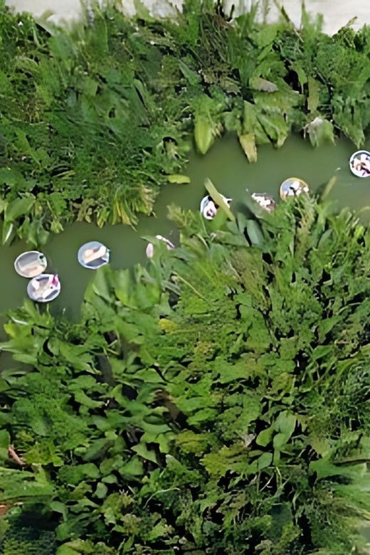 basket-boat-tour-with-lantern-making-and-cooking-class