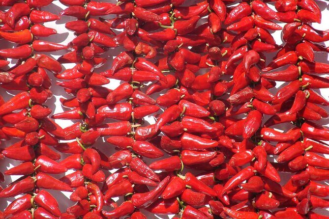 Basque Country Food Tour - A Detailed Look at the Basque Country Food Tour