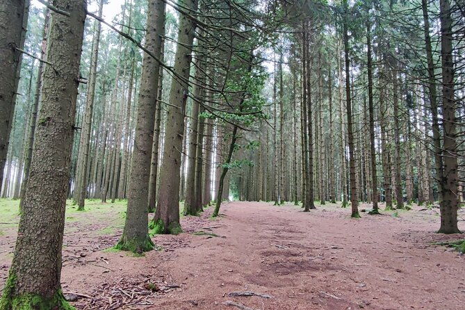 bastogne-the-battle-of-the-bulge-1-day-tour-from-brussels