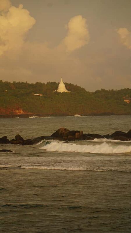 Bat Watching & Cinnamon experience -Koggala - A Close Look at the Koggala Lake Bat Watching & Cinnamon Experience