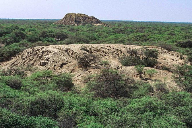 batan-grande-archeological-site-and-sican-national-museum-tour-from-chiclayo