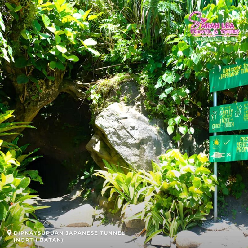 Batanes: North Batan Scenic Tour with Lunch and Guide - Key Points