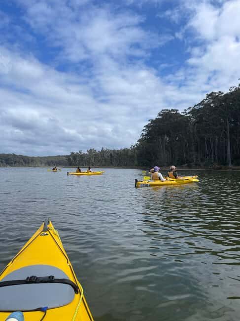 Batemans Bay: 3-Day Murramarang South Coast Walk - The Sum Up