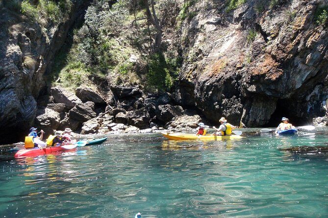 Batemans Bay Glass-Bottom Kayak Tour Over 2 Relaxing Hours - Why the Glass-Bottom Kayak Is a Special Experience