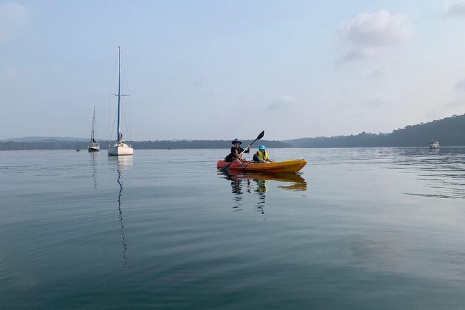 Batemans Bay Glass-Bottom Kayak Tour Over 2 Relaxing Hours - The Value: Price, Equipment, and Inclusions