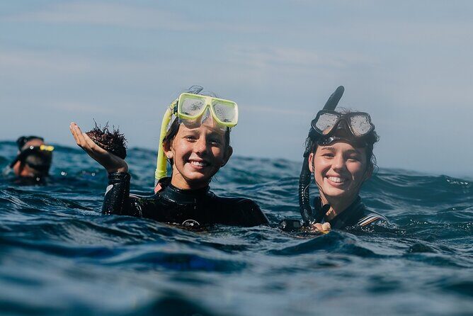 Batemans Bay Glass-Bottom Kayak Tour Over 2 Relaxing Hours - What Are the Potential Drawbacks?