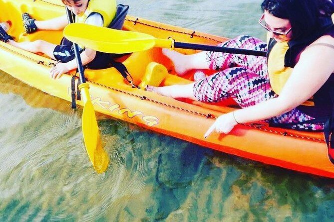 Batemans Bay Glass-Bottom Kayak Tour Over 2 Relaxing Hours - Who Would Enjoy This Tour?