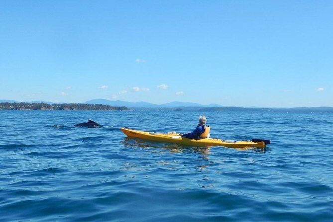 Batemans Bay Glass-Bottom Kayak Tour Over 2 Relaxing Hours - The Sum Up: Is It Worth It?