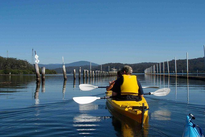 Batemans Bay Oyster Tasting Kayak Tour - Who Should Book This Tour?