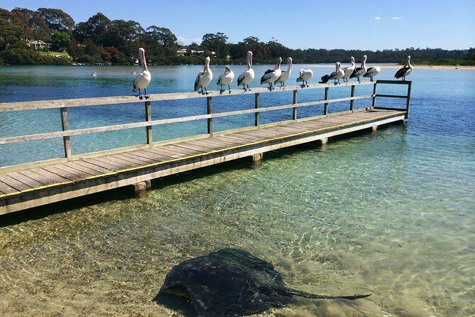 Batemans Bay Oyster Tasting Kayak Tour - Final Thoughts