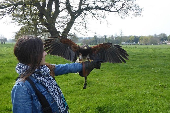 Bath City Tour & Fly a Hawk Experience - Day Tour from Bath - Who is This Tour Best For?