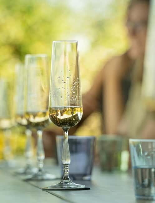 Bath: Vineyard Tour, Wine Tasting, and Music Pairing - The Value of the Experience