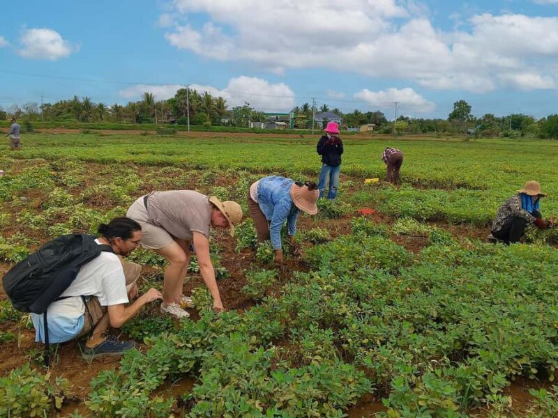 Battambang: Bamboo Train, Killing Cave, & Bat Cave Tour - Exploring Battambang: What to Expect