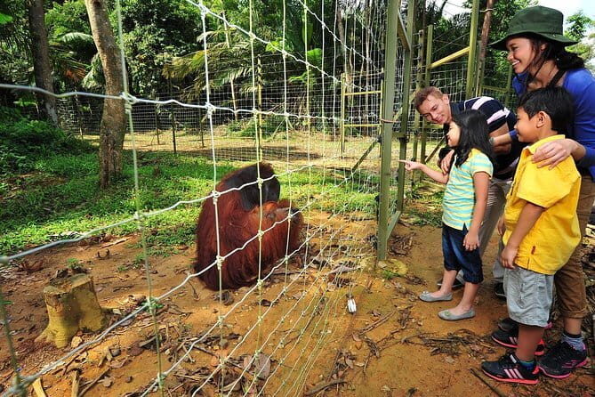 Batu Caves Temple, Royal Selangor Pewter and Batik Factory Tour - Who Should Consider This Tour?