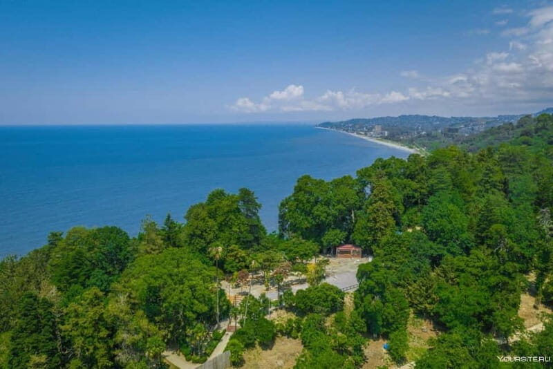 Batumi City - Botanical Garden - Petra Fortress from Kutaisi - Who Is This Tour Best Suited For?