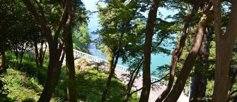 Batumi: Exploring Botanical Garden + Family Wine Tasting - Practical Details and Logistics