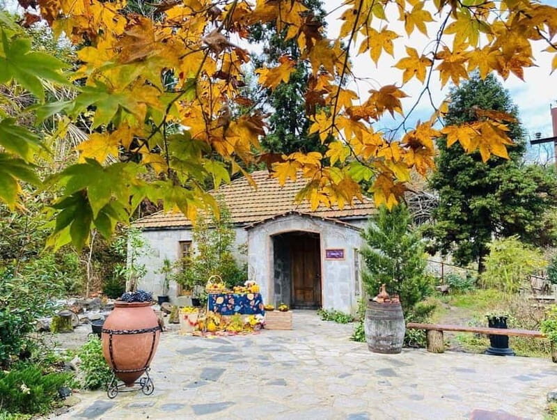 Batumi: Exploring Botanical Garden + Family Wine Tasting - FAQ