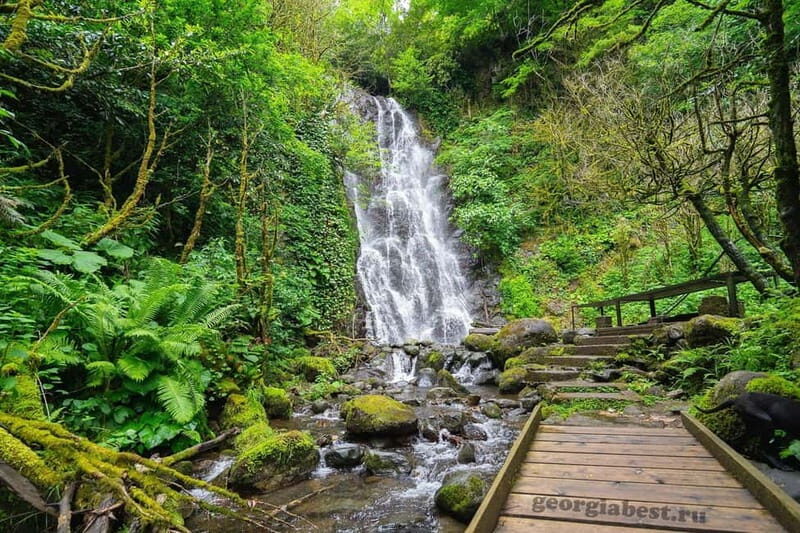 Batumi: Mountain Adjara Tour & Traditional Georgian Feast - Who Would Enjoy This Tour?