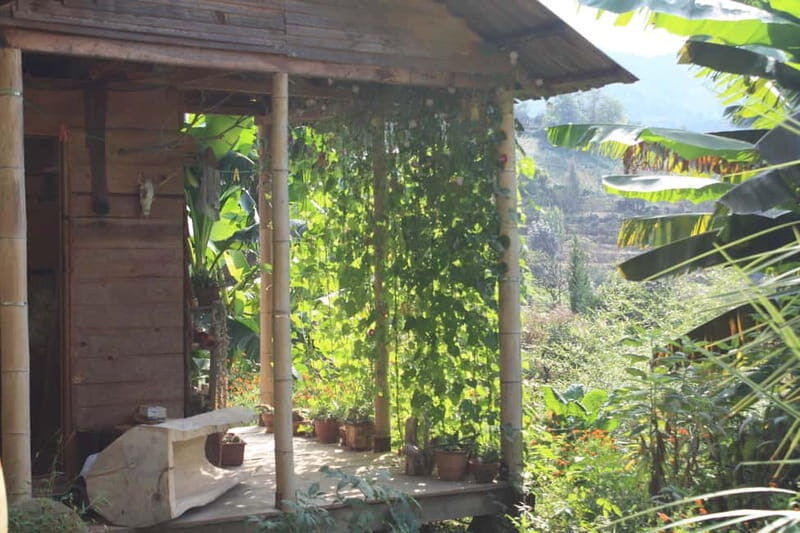 Batumi: Sweet Excursion and Mtirala Forest - Exploring Mtirala National Park