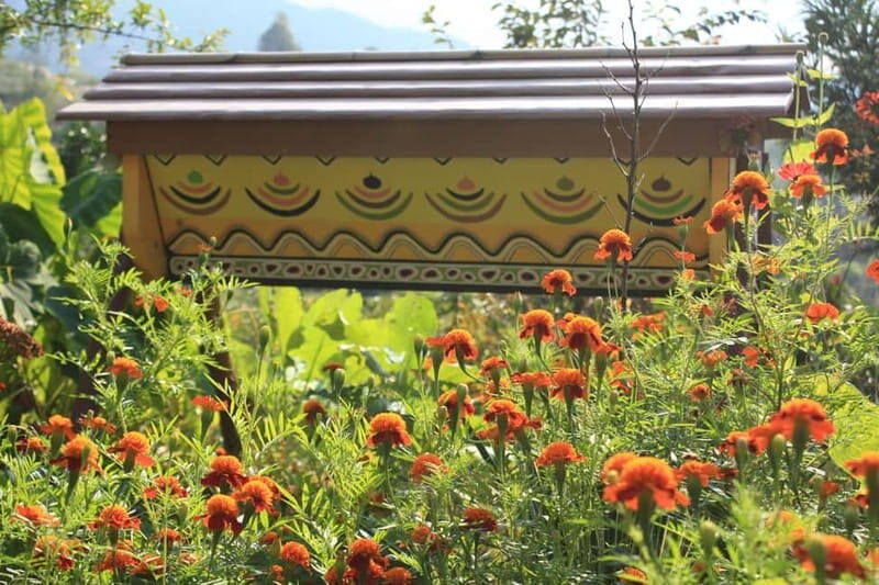 Batumi: Sweet Excursion and Mtirala Forest - Supporting Local Life with Georgian Hospitality
