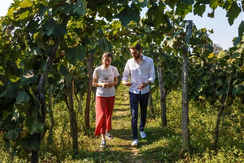Batumi to Kutaisi, Wine & Dine - Final Thoughts  