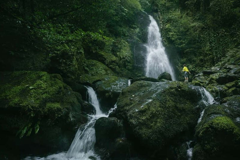 Batumi to Mtirala National park - Half day hiking group tour - An Authentic Half-Day Escape from Batumi into Mtirala’s Greenery