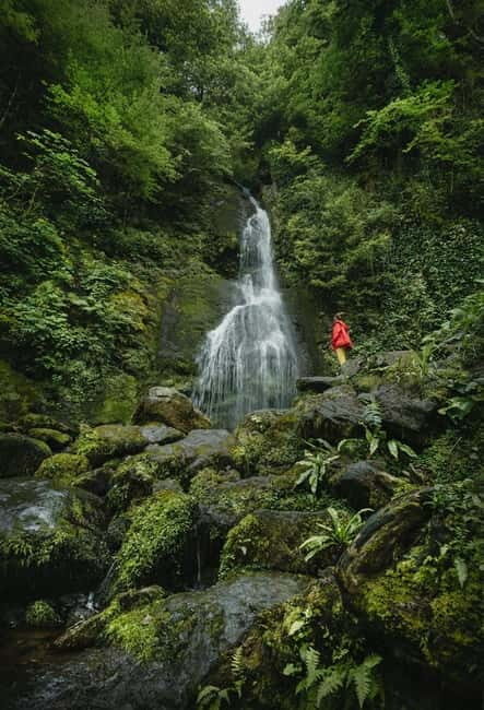 Batumi to Mtirala National park - Half day hiking group tour - The Experience in Detail