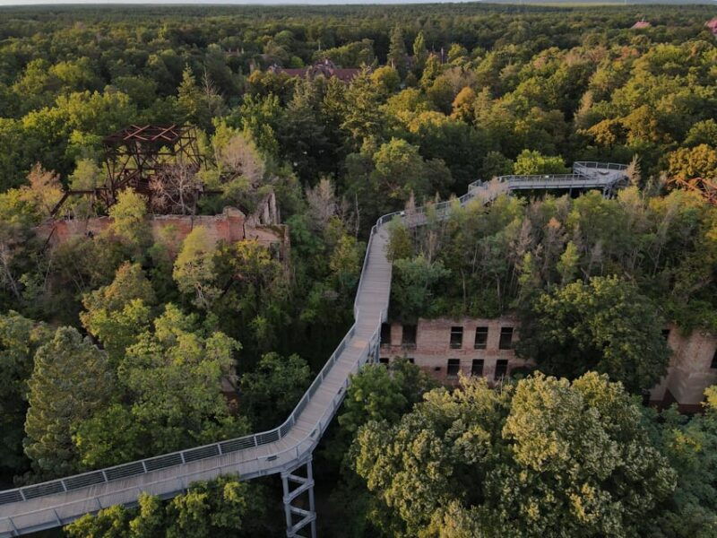 baumzeit-beelitz-heilstatten-tree-top-walk-entry-ticket