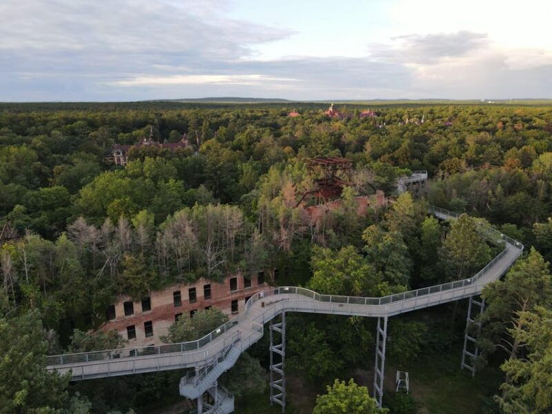 baumzeit-beelitz-heilstatten-tree-top-walk-entry-ticket