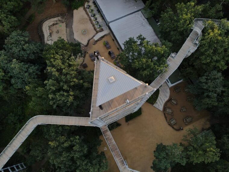 baumzeit-beelitz-heilstatten-tree-top-walk-entry-ticket
