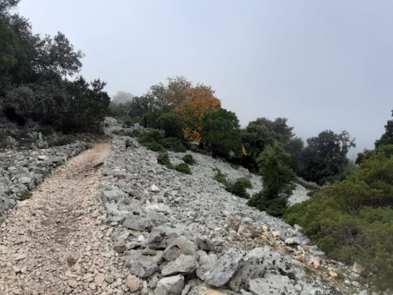 baunei-cala-goloritze-trekking-tour-with-a-guide