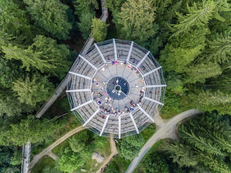 Bavarian Forest: Treetop Walk & Egg Tower Experience - Key Points