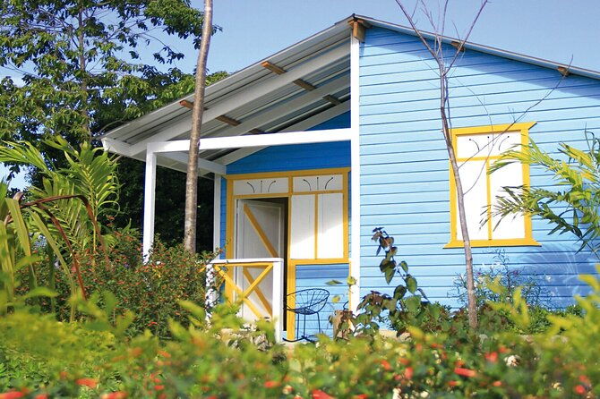 bavaro-adventure-park-buggy-ride-zipline-mega-splash-and-waterfall-pool