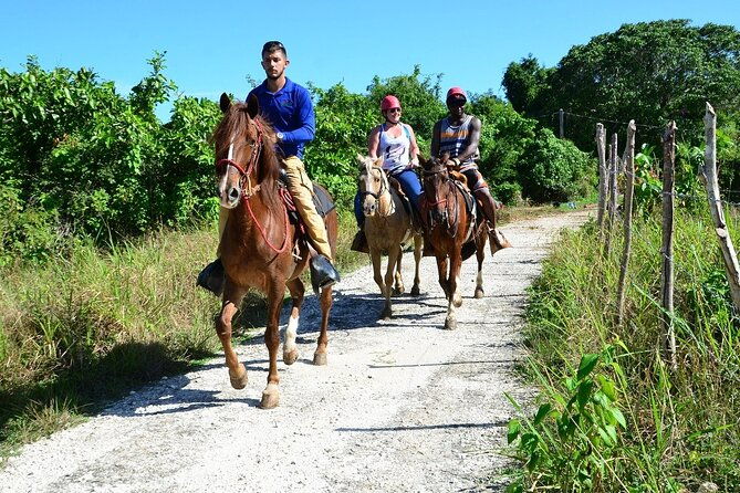bavaro-adventure-park-packages-from-punta-cana