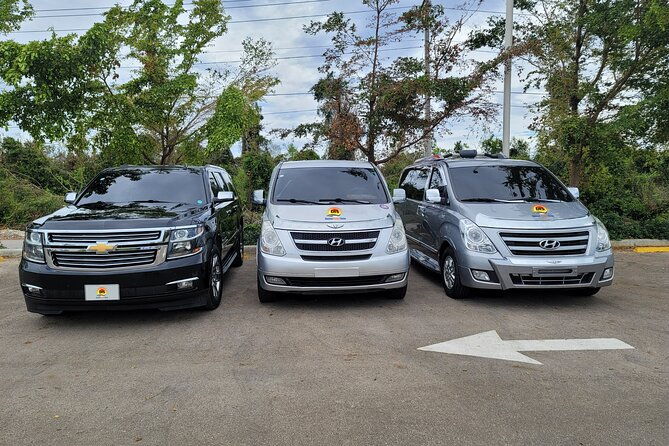 bavaro-to-punta-cana-airport-puj-one-way