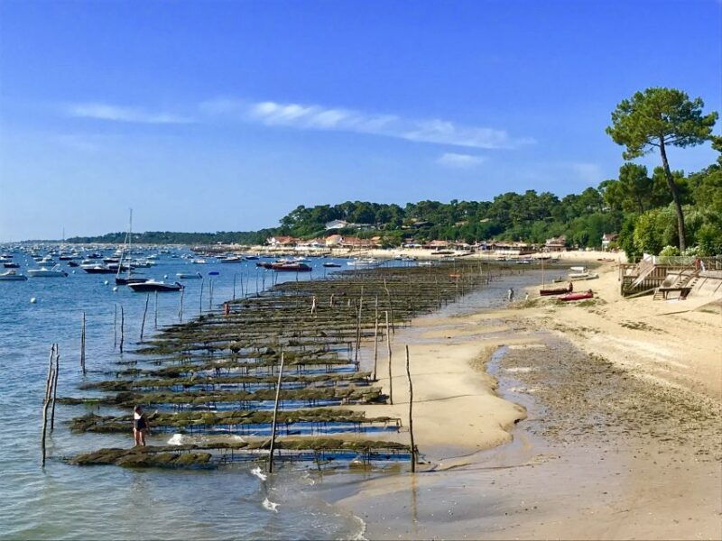 bay-of-arcachon-guided-food-tour