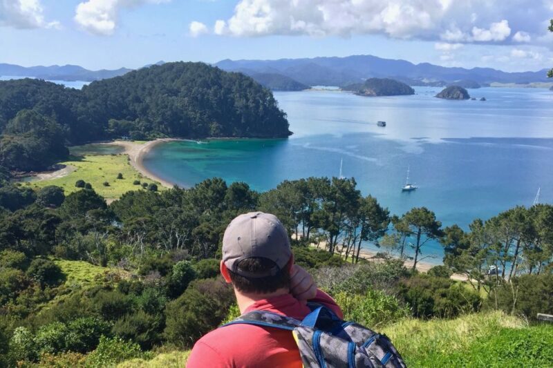 Bay of Islands: 4.5 Hour Day Cruise and Island Getaway Tour - What the Tour Could Improve