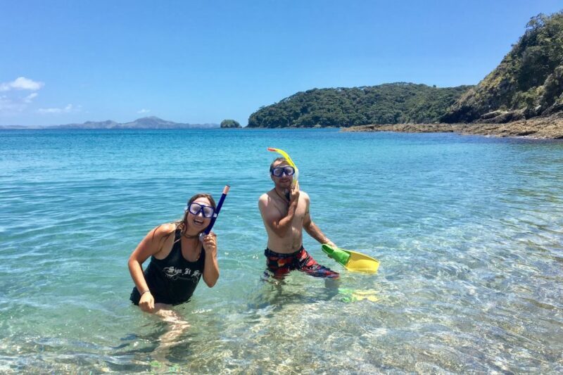 Bay of Islands: 4.5 Hour Day Cruise and Island Getaway Tour - Final Thoughts: Who Is This Tour Perfect For?