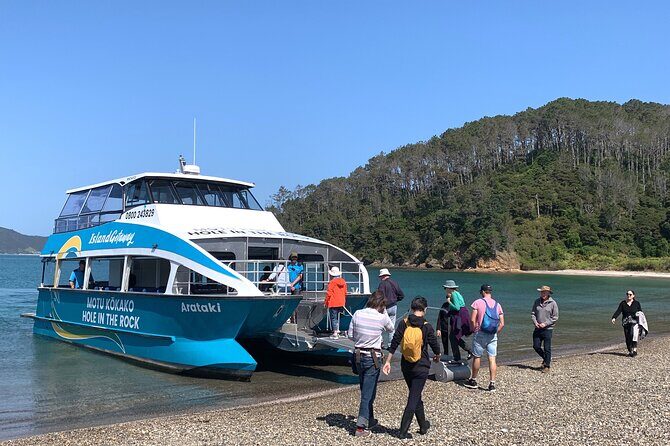 Bay of Islands Cruise & Island Tour - Snorkel, Hike,Swim,Wildlife - In-depth Look at the Experience