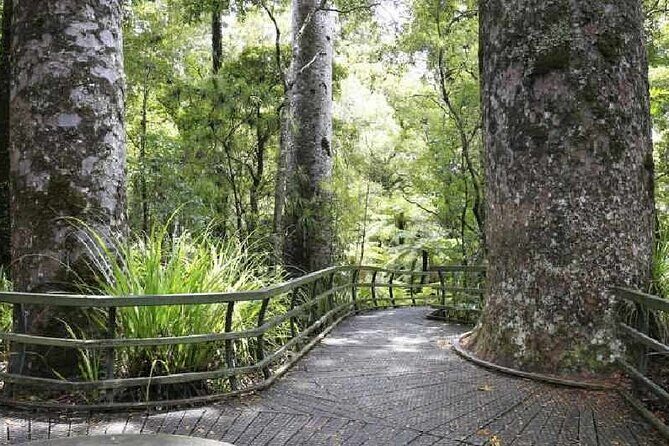 Bay of Islands - Explorer Tour - An In-Depth Look at the Tour Itinerary