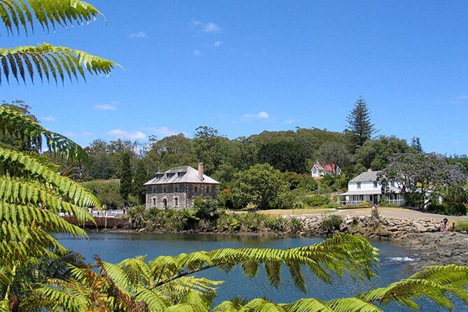 Bay of Islands - Explorer Tour - Authentic Insights from Travelers