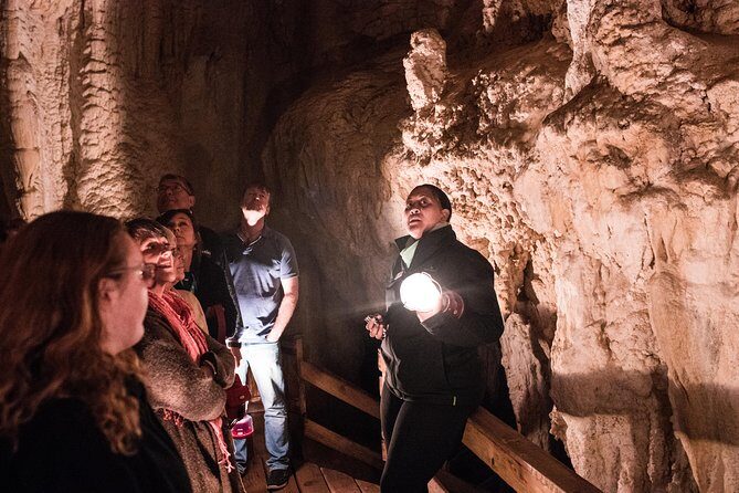 Bay of Islands Glow Worm Caves & Scenic Shore Excursion - What Travelers Are Saying
