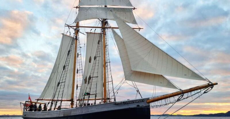 Bay of Islands: Late Afternoon Sailing Cruise - Why This Experience Offers Great Value