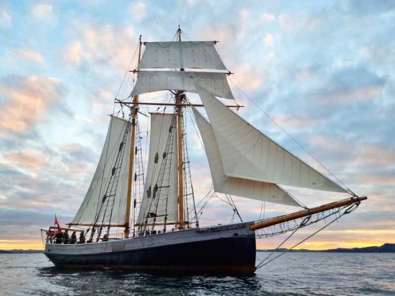 Bay of Islands: Late Afternoon Sailing Cruise - Final Thoughts
