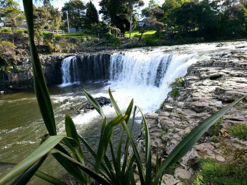 Bay of Islands - Mini Tour (75-90 mins) - Who Will Love This Tour?