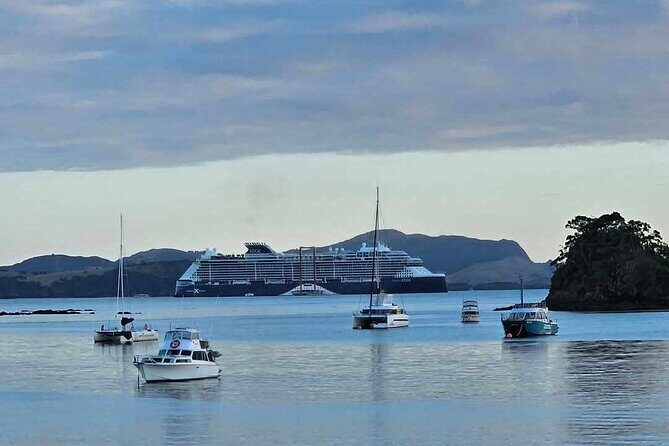 Bay of Islands - Mini Tour: (75-90mins) - What Past Travelers Say