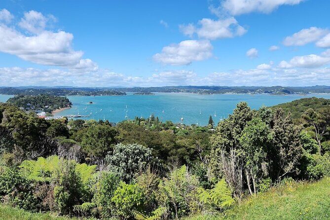 Bay of Islands Scenic Tour - Practical Information