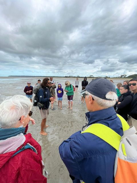 bay-of-mont-saint-michel-discovery-and-quicksands