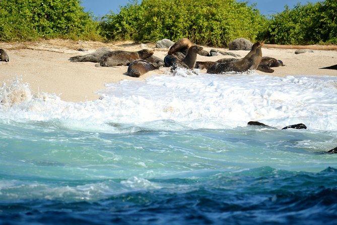 bay-tour-in-santa-cruz-galapagos-islands
